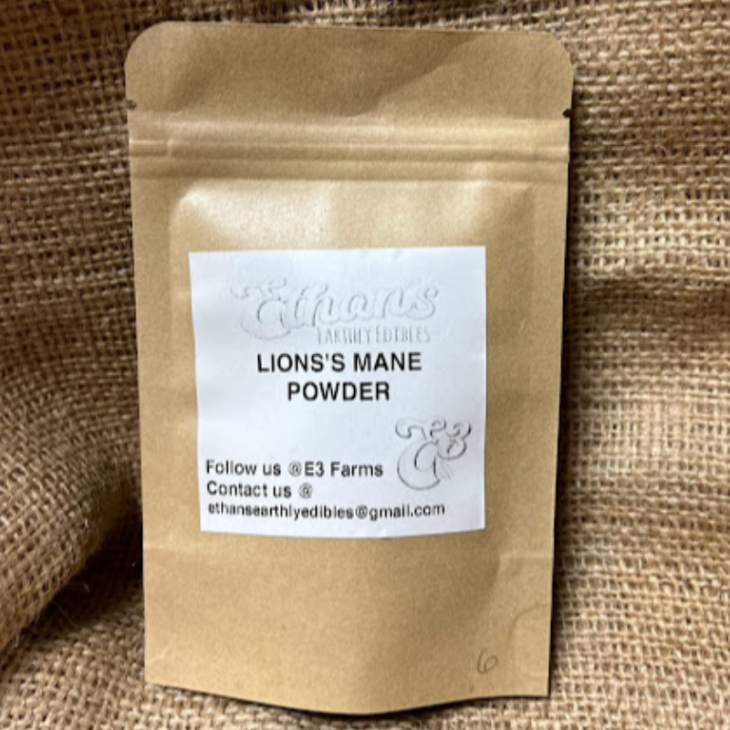 E3 Lion's Mane Powder Main Image